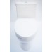 EAGO  TB359 Dual Flush Eco-Friendly Ceramic Toilet  1-Piece - B00C57CPCC